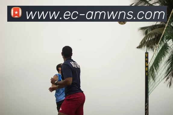 威尼斯人娱乐官网平台生态图